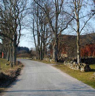 Spåren efter dessa tidiga odlingar kan ses i form av stenrösen och åkerkanter och ligger idag ofta inbäddade i skog.