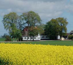 Det fysiskgeografiska landskapet Österlenslätten består av den södra delen av Simrishamns och Tomelilla kommuner och den östra delen av Ystad kommun och breder ut sig i ett öppet och småkuperat