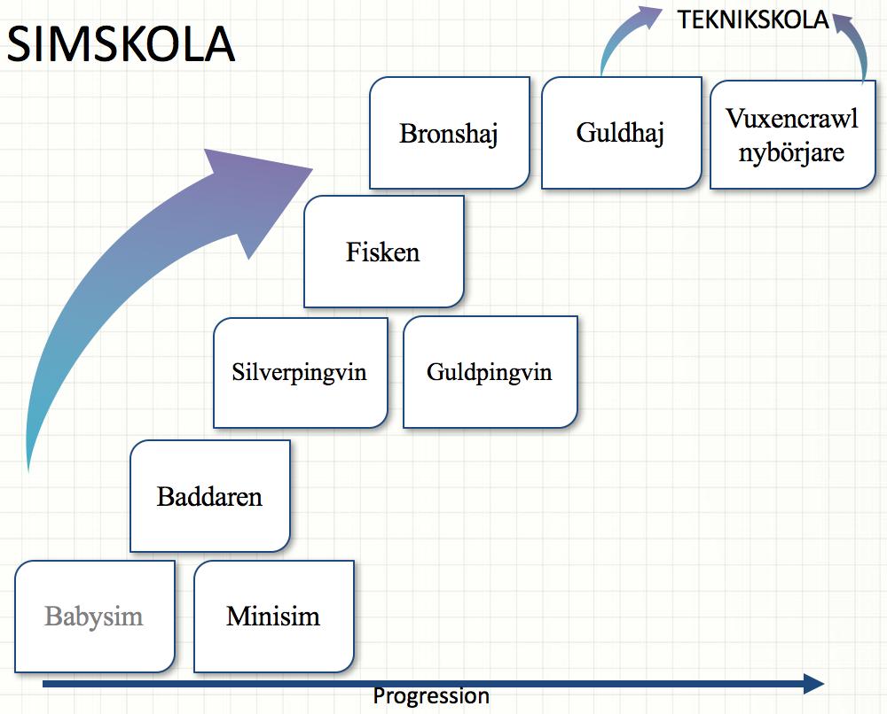 SK Sydsims verksamhet Simskola Teknikskola Tävlingssimning SIMSKOLA Detta kommer uppdateras inom kort Vattenvana och balans i vattnet är a och o för att barn, ungdomar och vuxna ska känna sig trygga