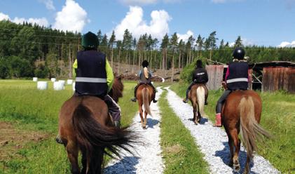v.29 v.30 Äventyrsridning på islandshäst Vill du uppleva turridning i skogen på islandshäst, köra häst och vagn bakom en shetlandsponny samt lära dig om hur du tar hand om hästar?