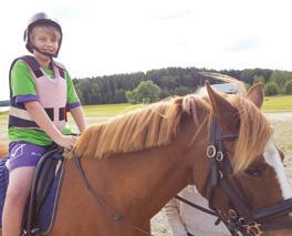 v.30 v.31 Ridläger för nybörjare Under en vecka får du lära dig allt om hur du rider och tar hand om hästar.