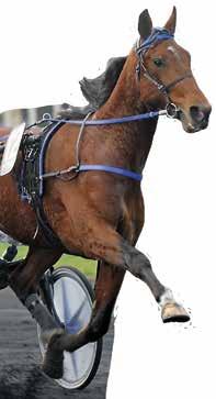 e arama Hall - : -0-0,a : --,a 00 Tot: -- Our Joy e Sate Hill Horpestad T År /0 - / 0, x c 0 Uppf: Jansson Thomas I, Årjäng Horpestad T F /0 - / 0, a x c 0 Äg: Jansson Thomas I, m fl Horpestad T o /