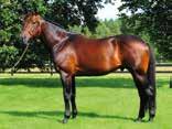 lassic Martine (US) *$.. Världrekordhållerska! Take My Picture (US) $..0 Zooming (US) $. ingostarr Tre (IT) 0.0 Kulltoppar! Deimos acing *.