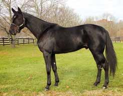 anepa Hanover deltog äv i storlopp som Hamletonian ($.000.000), Ktucky Futurity ($.000), The olonial ($00.000) och Goodtimes Stake.