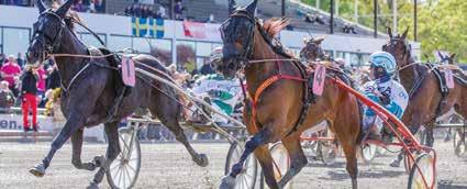 BUSSESA TILL OPENHAGEN UP I LUNDEN D.