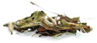 GUNPOWDER Lite som namnet antyder. Ett grönt te som ger sina finstämda syskon i kategorin lite av en örfil. Det här är ett grönt te med mycket smak, kryddigt och bestämt.