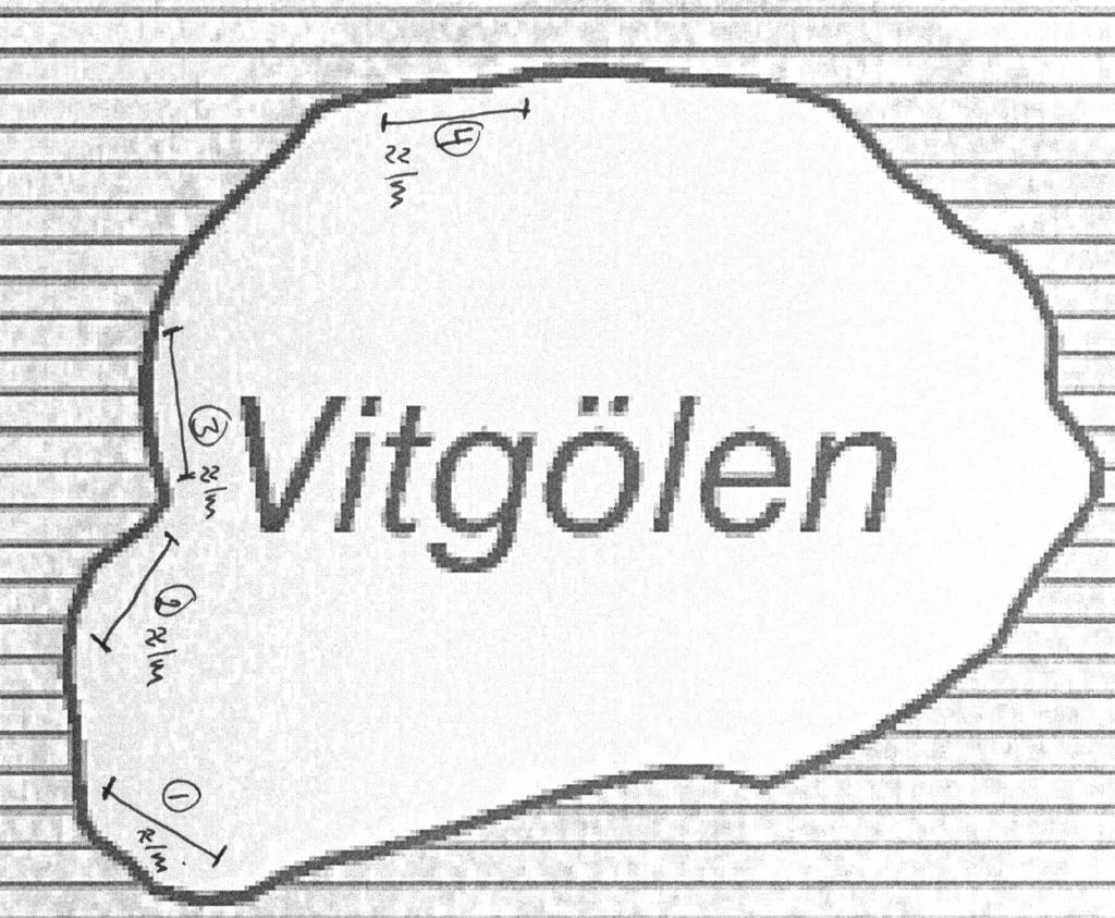 Vitgölen