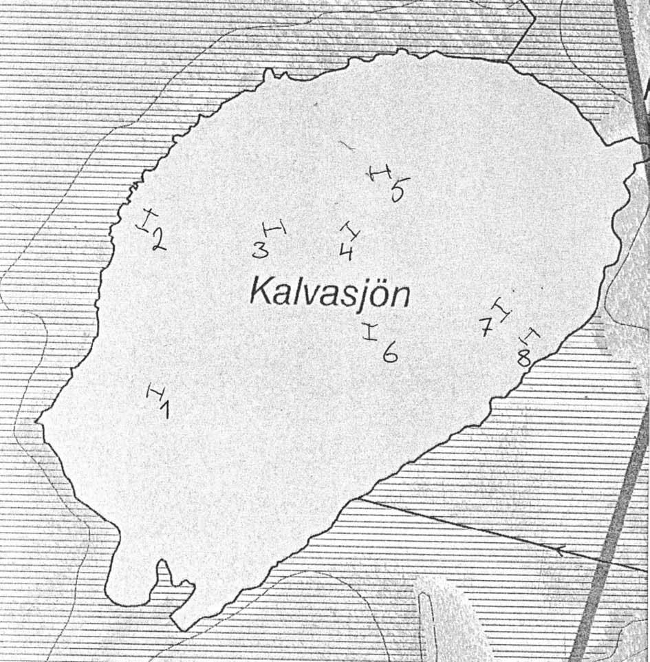 Kalvasjön