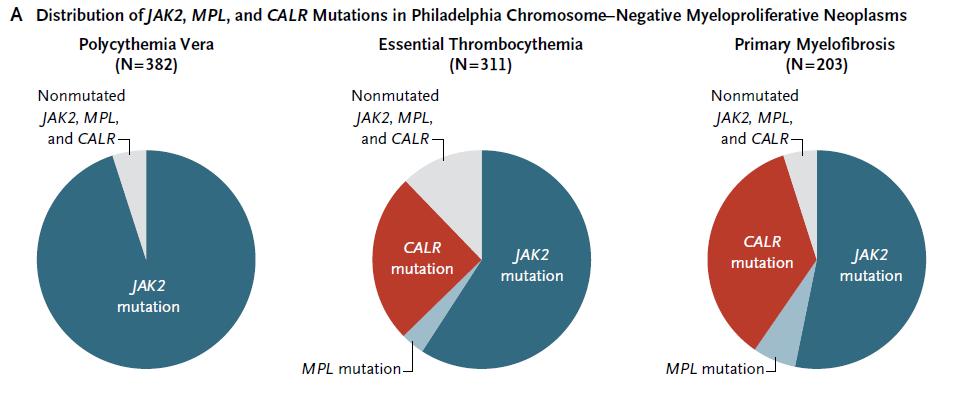 Mutationer vid Ph- MPNs Polycythemia Vera (PV) Essential