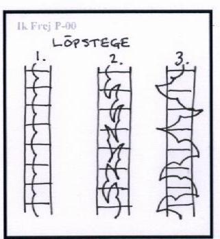 18. Snabbhet och avslut. ORGANISATION GRAFIK INSTRUKTIONSPUNKTER 18:1 Snabbhet, löpstege. 1 eller 2 fötter i varje steg. 1. Rakt fram 2. 2 steg fram, 1 tillbaka 3.