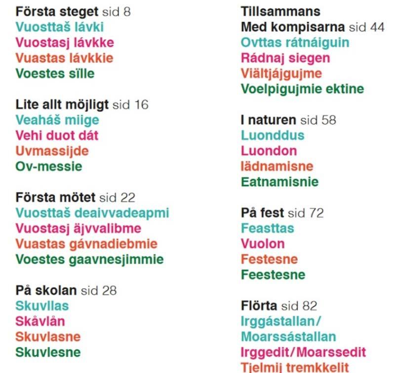 medier och fungerat som resurser när det funnits behov hos unga i vardagen att hitta ord och formuleringar. Språkkampanjen kompletterades med en parlör på svenska, nord-, lule-, umeoch sydsamiska.