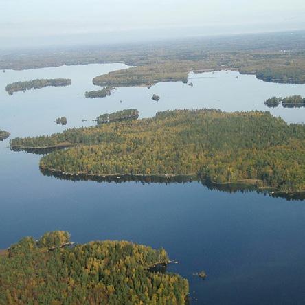 Skogar nära vatten SKOGAR SOM VÄXER intill rinnande eller stilla vatten är mer eller mindre konstant fuktiga, och vattnets närhet är alltid påtaglig.