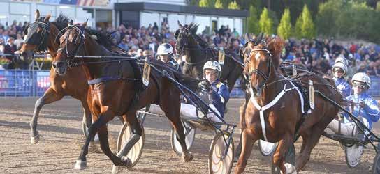 Strt : LOPP Bnkod Finsk Silverdivisionen årig oh äldre hö