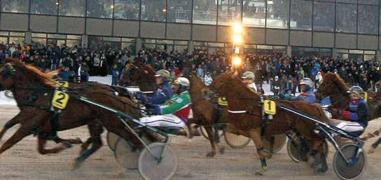 e Srlet Knight Sound Of Musi e Tes Uppf: Äg: Jonn Hottinen viol svrt silver viol svrt silver Hottinen Jonn (Mikkonen Heikki) THEO DE VILLENEUVE*,r. v. e Dguet Rpide :,,r. v. e Revenue Pnde d Este e Devil Hnover Uppf: Äg: rsutlli vl röd lå silver lå vl röd Nummi Liis (Airksinen Risto) LICENSE TO FLY* (FI),mr.