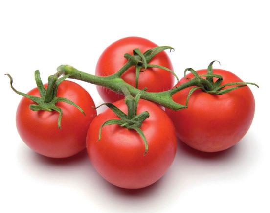 Här är några tips: Tomater och chili Plantor som tomat och chili kräver utrymme och behöver vattnas mycket, särskilt när det är som varmast.