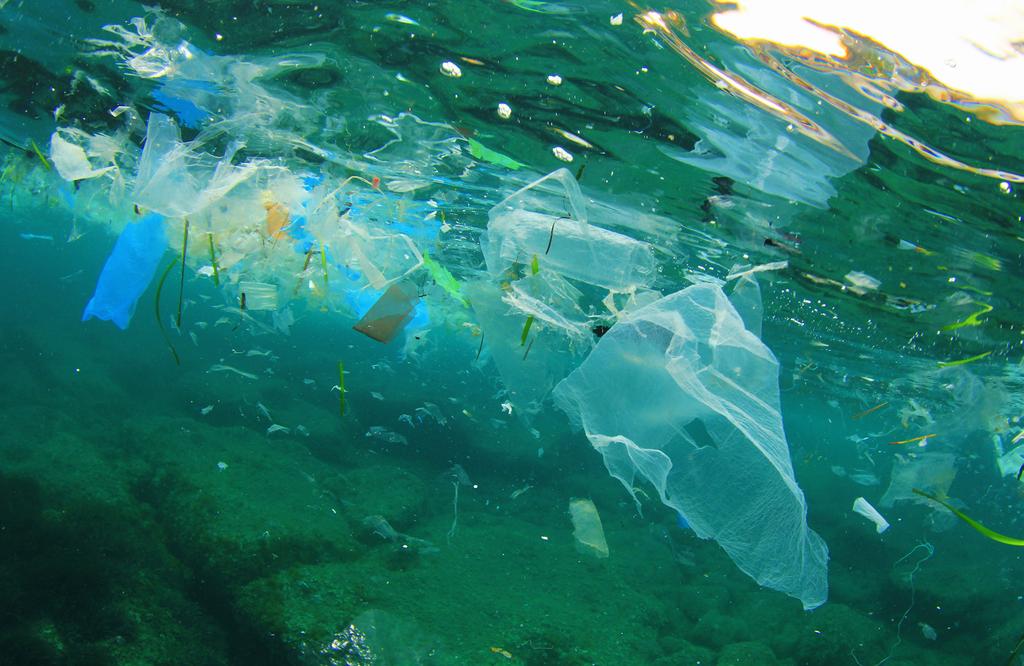Plastskräp bryts ner till mindre och mindre plastfragment med tiden.