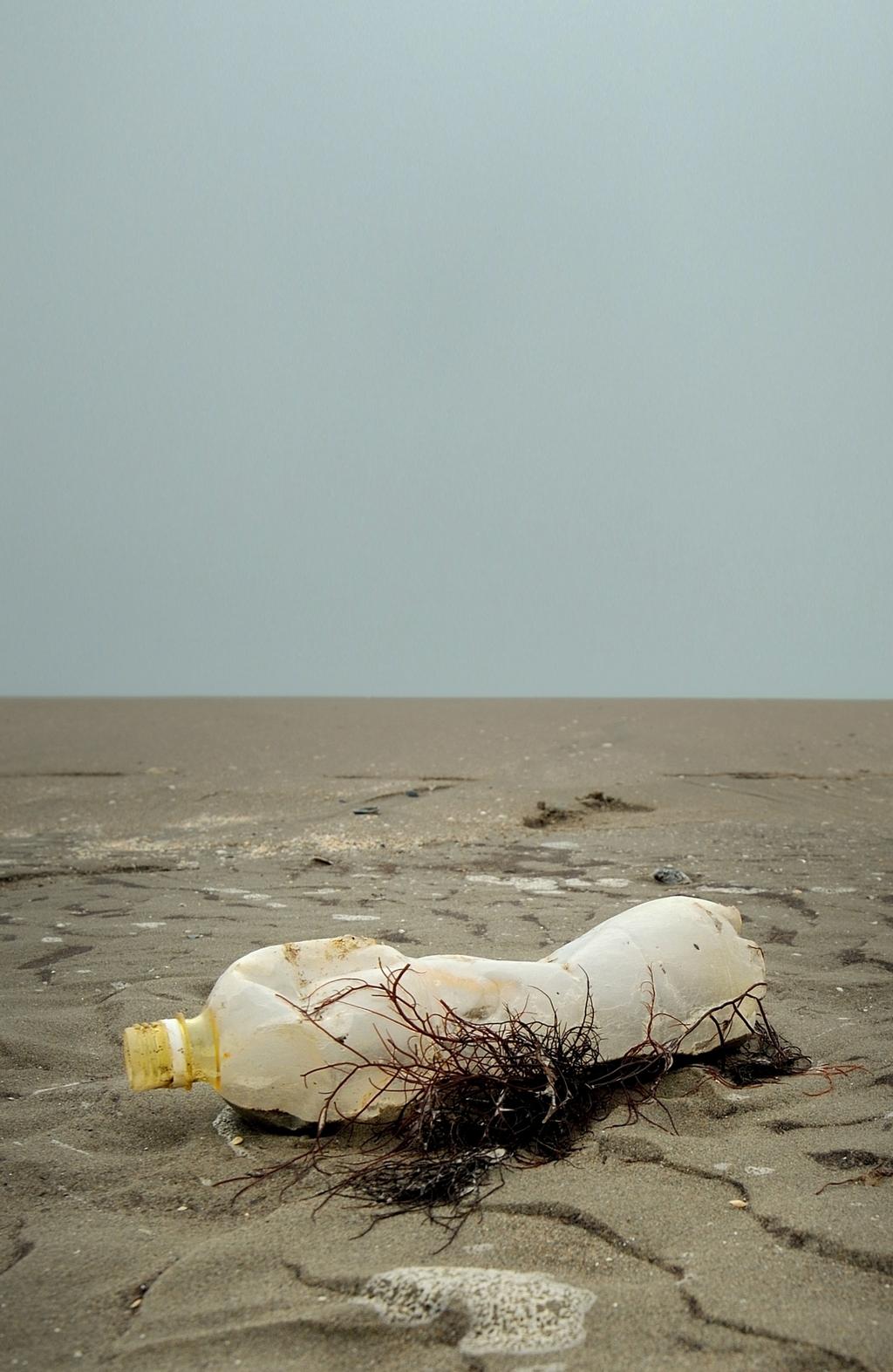 Förord Plast är ett material som på senare tid har fått mycket uppmärksamhet och som väcker många känslor.