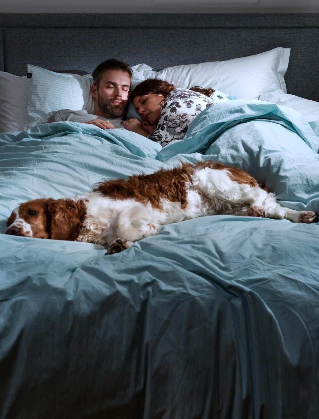 Sängvanor Djurs närvaro kan ha en tryggande och avslappnande effekt. En lugnt snusande hund eller spinnande katt som sällskap kan göra det lättare att somna.