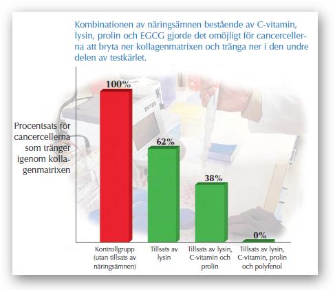 Kombinationen av C vitamin, aminosyrorna lysin och prolin samt polyfenol förhindrade