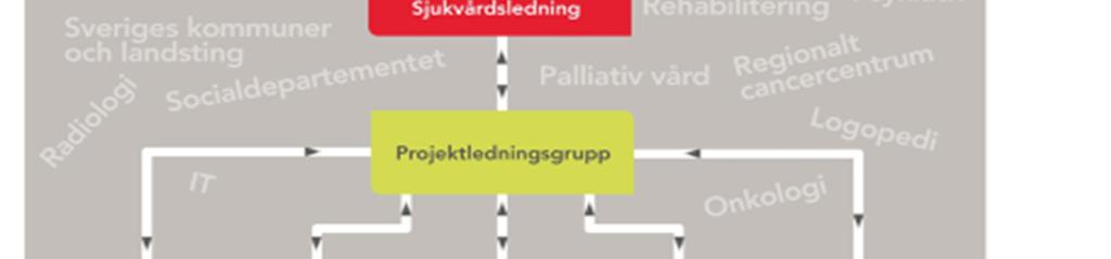 Under uppstartsfasen för SVF 2015/2016 har stimulansmedel använts för projektanställning av koordinator inom kirurgi, medicin samt onkologi.