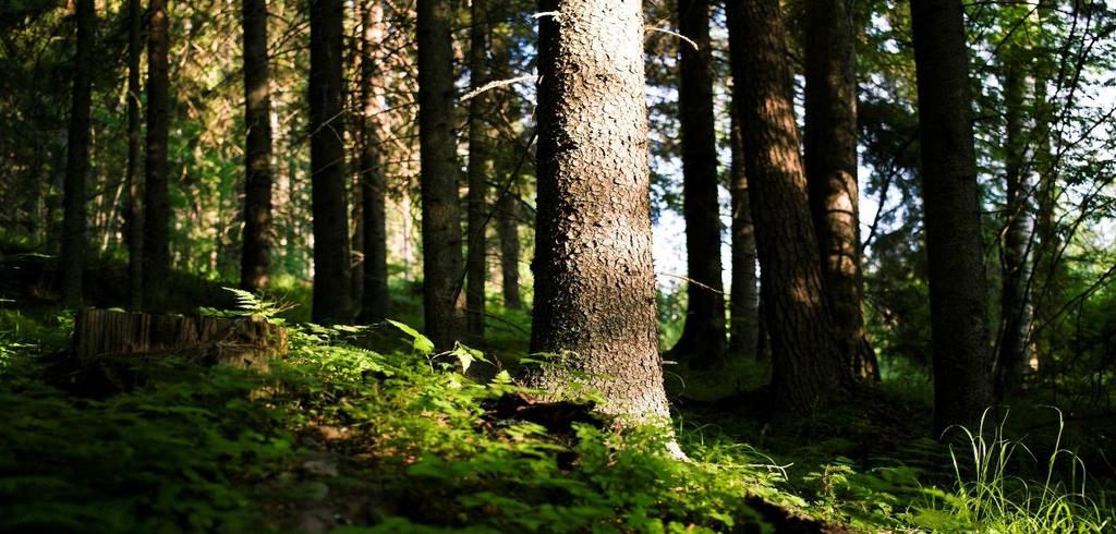 Målredovisning 2014 Årsförbrukningen av eldningsolja skall understiga 18 200 m 3 (motsvarar 52 800 ton CO 2) Utfallet blev 16 992 m³, vilket betyder att målet klarades.