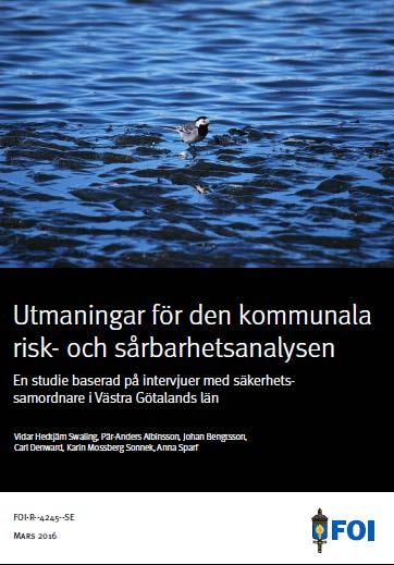 Med detta som utgångspunkt har projektet utvecklat en modell av RSA-processen. Vi har också ringat in några viktiga utmaningar i kommunernas arbete.