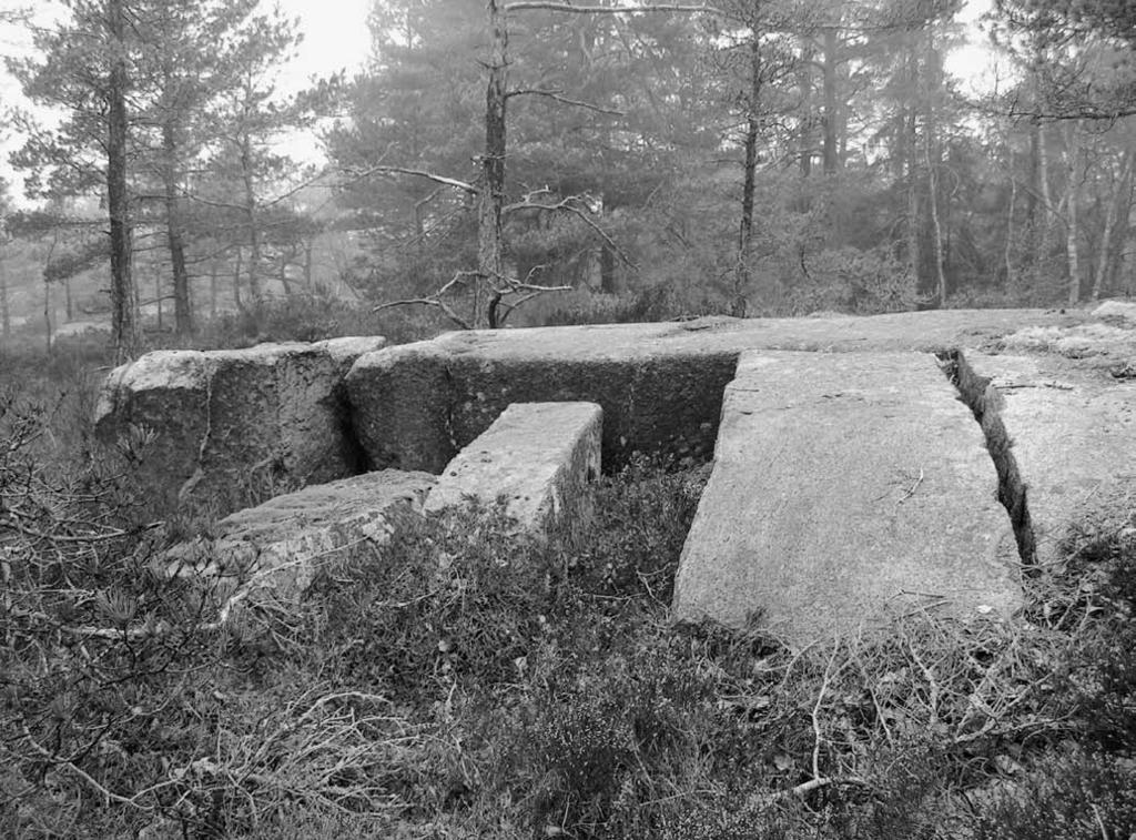 Ill. 4. Lämning nummer 0860:9, ett stenbrott. Brytningen har skett genom kilning med rundkilar. Flera löskilade block kvarligger. Det finns inga tecken på bearbetning av sten vid brottet.