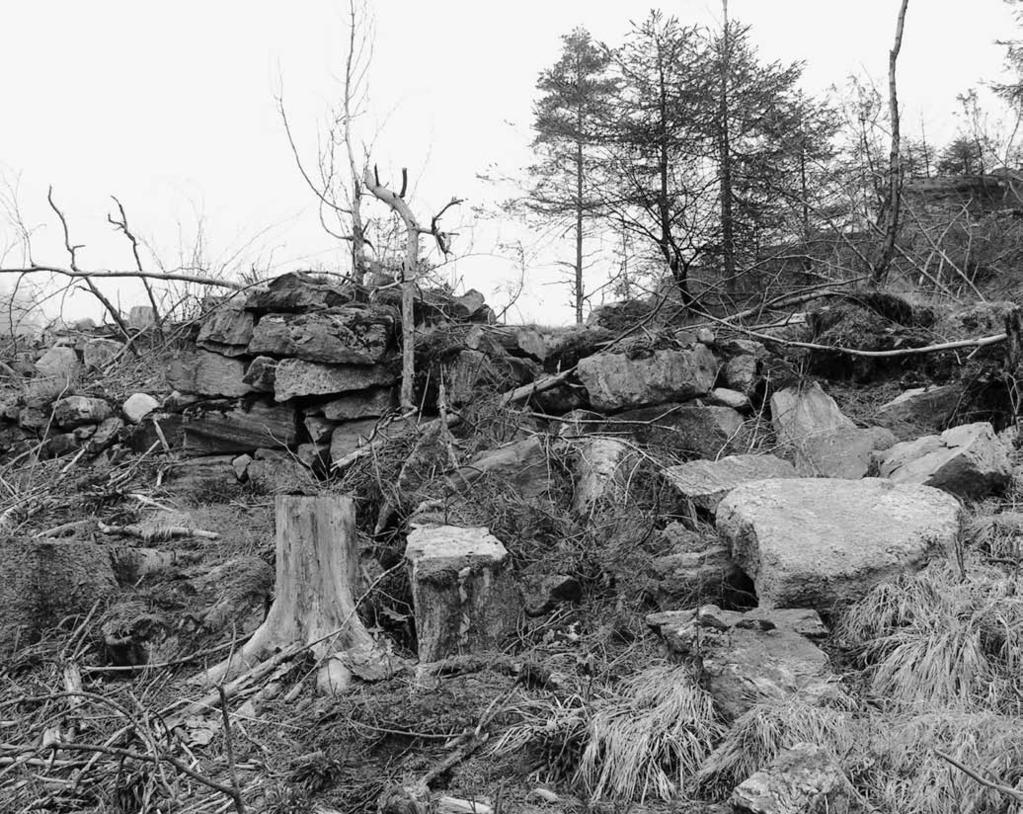 Ill. 6. Husgrund och delar av hägnaderna ingående i hägnadssystemet 0860:13. Foto mot nordost. följd av anläggning av väg genom eller invid en våtmark.