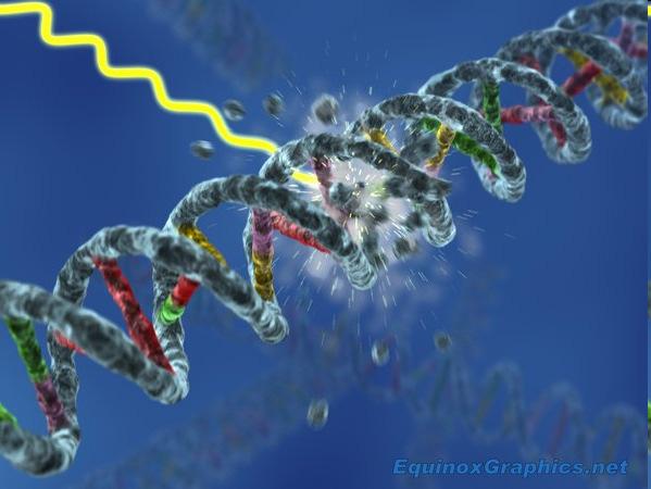variation Fel i DNA replikation Skada på