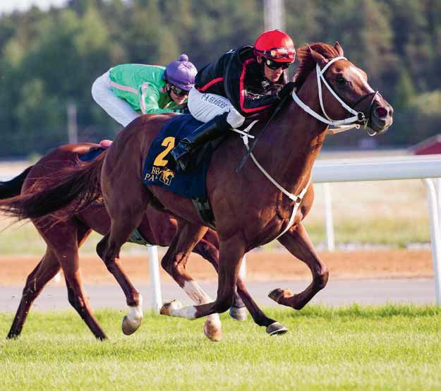 NR SÖNDAG 7 MAJ 07 KL. GÖTEBORG GALOPP Adalöpning Göteborg Classic Trial Reinhold Swartlings Memorial Välfyllda lopp och mycket fin sport direkt vid årspremiären på Göteborg Galopp!