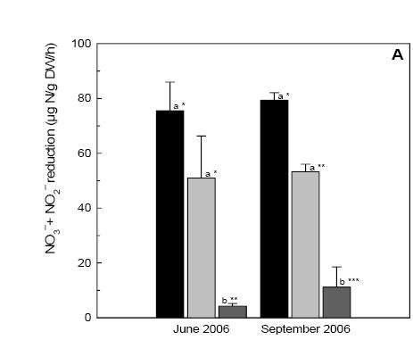 Plants affect denitrification µg N/g