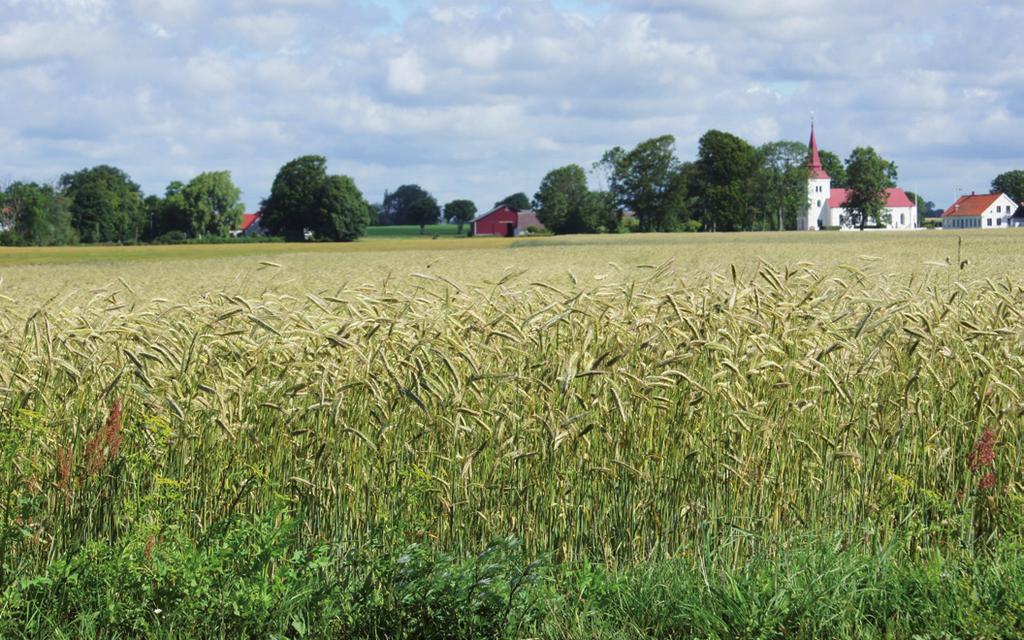I Jordberga i Trelleborgs kommun byggs en stor biogasanläggning där först och främst majs, betor och helskördad spannmål ska rötas.