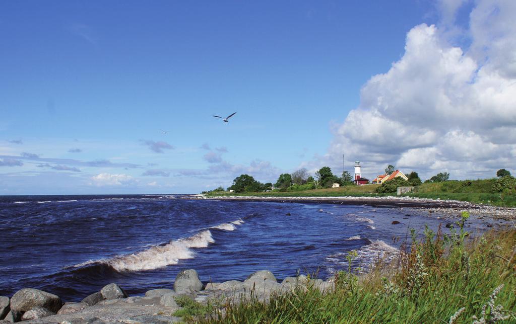 Tångskogarna och ålgräsängarna försvinner då helt på djupare områden och lämnar efter sig ett monotont undervattenslandskap.