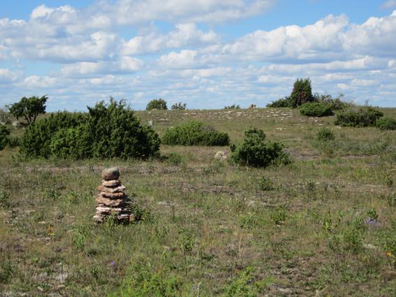 De två gravrösena härrör troligtvis från bronsåldern och återanvändes sedan för s.k. efterbegravningar även under järnåldern.