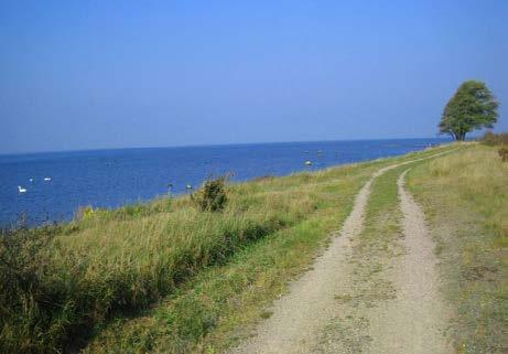 I vägkorsningen sväng söderut och gå drygt 2 km på väg 942 till Risinge by. Vik av mot Risingehamn, med en härlig vy över Kalmar sund och strandängar.