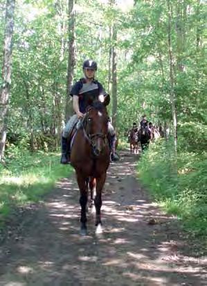 Ridläger I vacker miljö med underbara ridvägar. 3 ridpass/dag med utbildade ridinstruktörer.