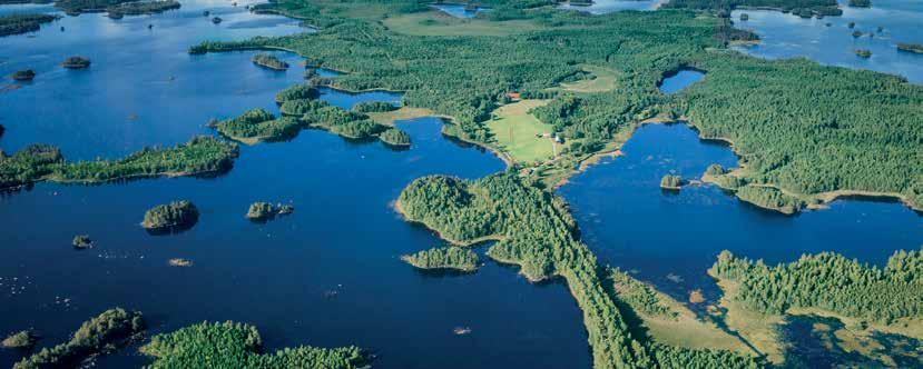 Åsnen med sin unika och orörda insjöskärgård bjuder på fler än 1000 öar och 700 km strandlinje.