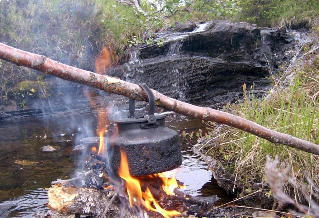 PAUS för