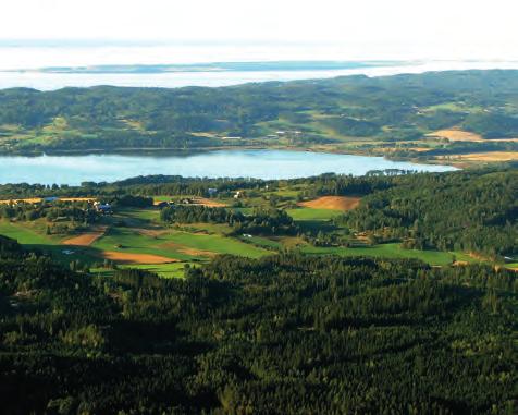 Åren som gått 1995 1997 1998 1999 2000 2001 Östra Vätterbranterna (ÖVB) lanseras som begrepp och en utställning skapas på Andréemuseet.