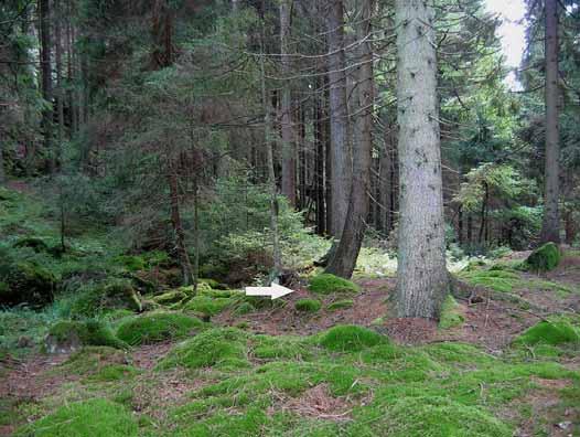 Fyndplats för blåtryffel, Slereboån, Ale Fyndplats för blåtryffel, Rammdalen, Lerum Tretton av de övriga områden som besöktes