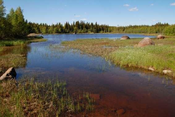 Dnr. 511-6341-2014 sista meningen. Yttre bastufjärden, Robertsfors kommun. Foto: Jens Backman Färdväg äldre stigar, vägar och järnvägar.