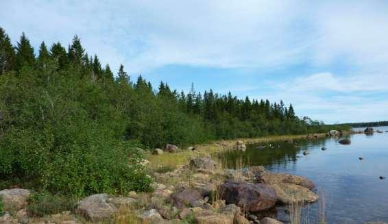 Dnr. 511-6341-2014 sista meningen. Kompassros/vädersträckspil förekommer som ristade figurer eller lagda stenrader. Väderstreckspilar är ofta lagda stenar i form av norrpilar.