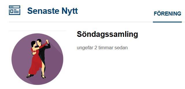 Så här ser det färdiga resultatet ut på EPI