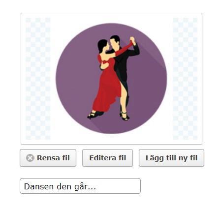 Om bilden redan finns i: Image Vault... Då ser det ut som nedanstående bild.