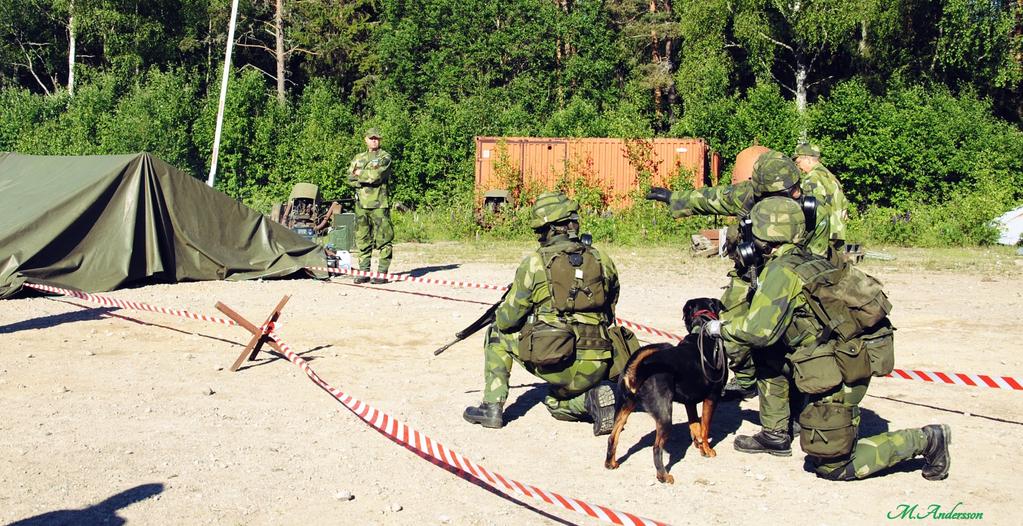 Det genomförs i omgång med hundekipage och omfattar ett antal stationer med olika scenarion där omgången ställs inför en uppgift som skall lösas.