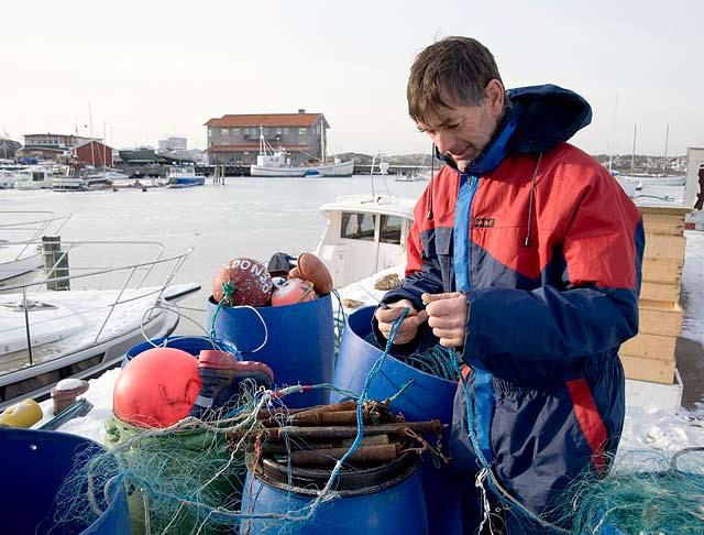 Styrsö Tången, ett traditionellt fiskeläge. Känsö i bakgrunden program hela sommaren och konsumbutiken är en träffpunkt året runt. Byns gamla åkrar betas av får.