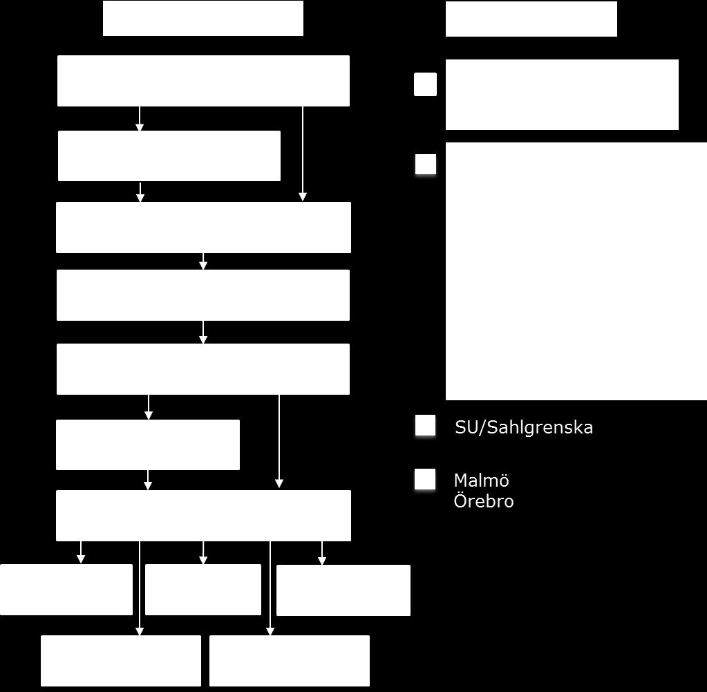 3. PATIENTENS VÄG GENOM VÅRDEN Här presenteras en beskrivning av hur patienters väg genom vården ser ut för patienter i Västra sjukvårdsregionen med peniscancer.