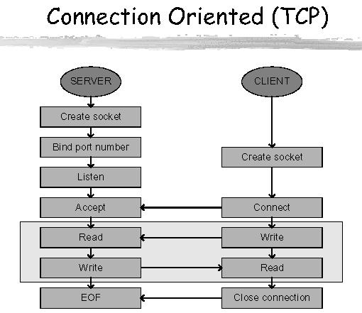 SOCK_STREAM, IPPROTO_TCP)) == -1) oops("socket") bzero(&saddr, sizeof (saddr)); /* Build the network address for this server */ saddr.sin_family = AF_INET; saddr.