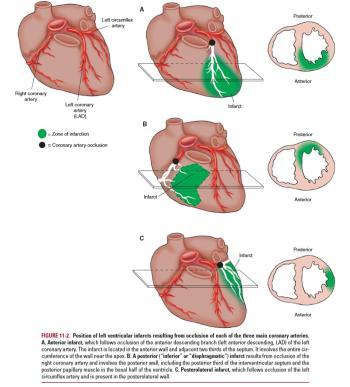 6 mars 2016 10 Diagnostik Anamnes