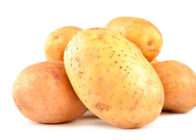 Direkt från potatisens champagnedistrikt till din tallrik Outinens Potatis har levererat potatisprodukter